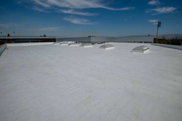 Best Roof Maintenance and Cleaning  in Topeka, IN