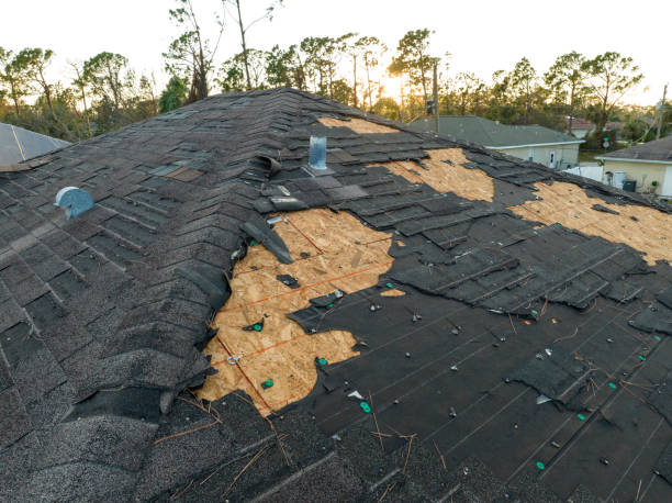 Best Green or Eco-Friendly Roofing Solutions  in Topeka, IN